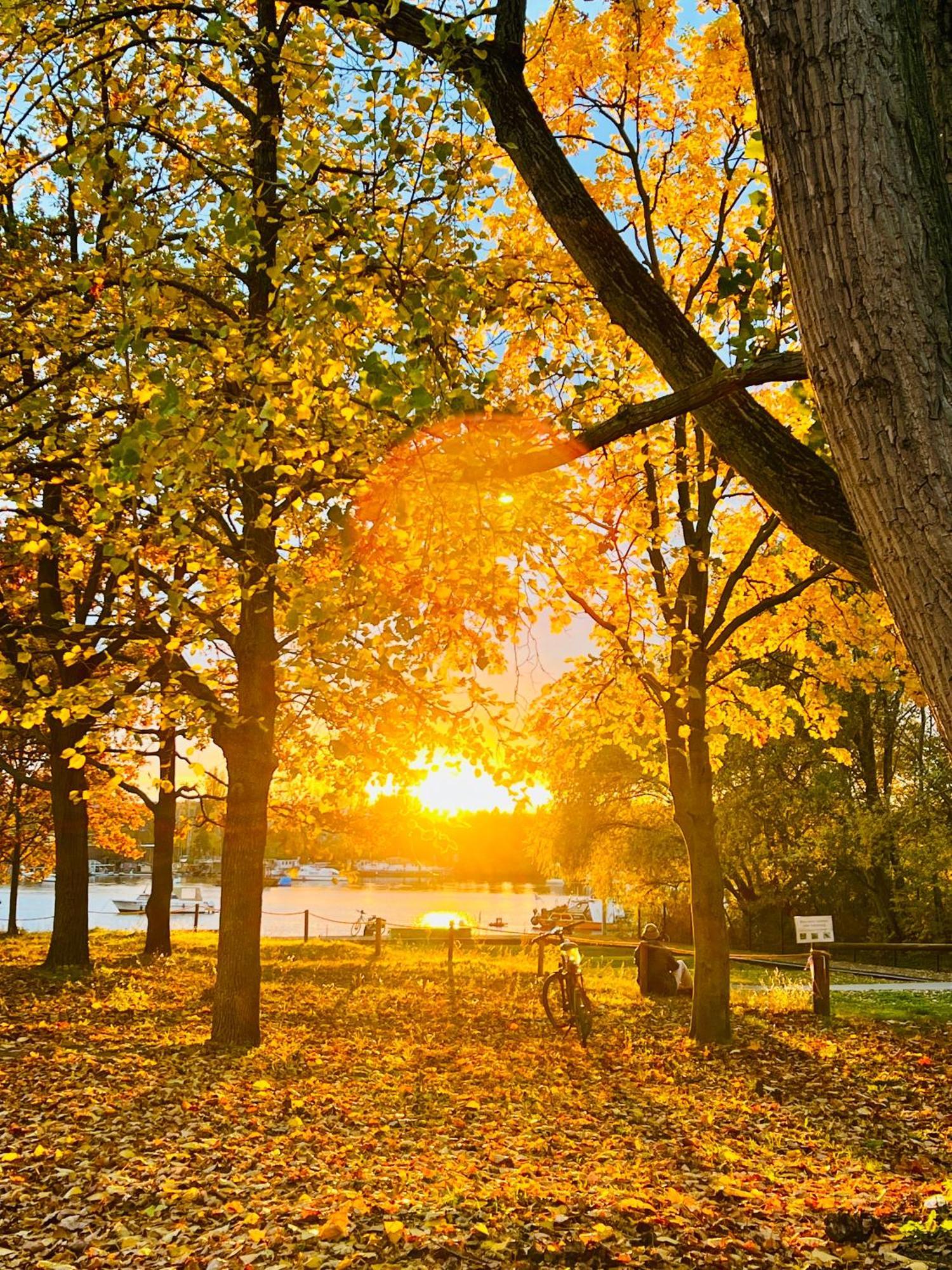 Schoene Aussichten Mitten In Berlin - Il Sole Buitenkant foto